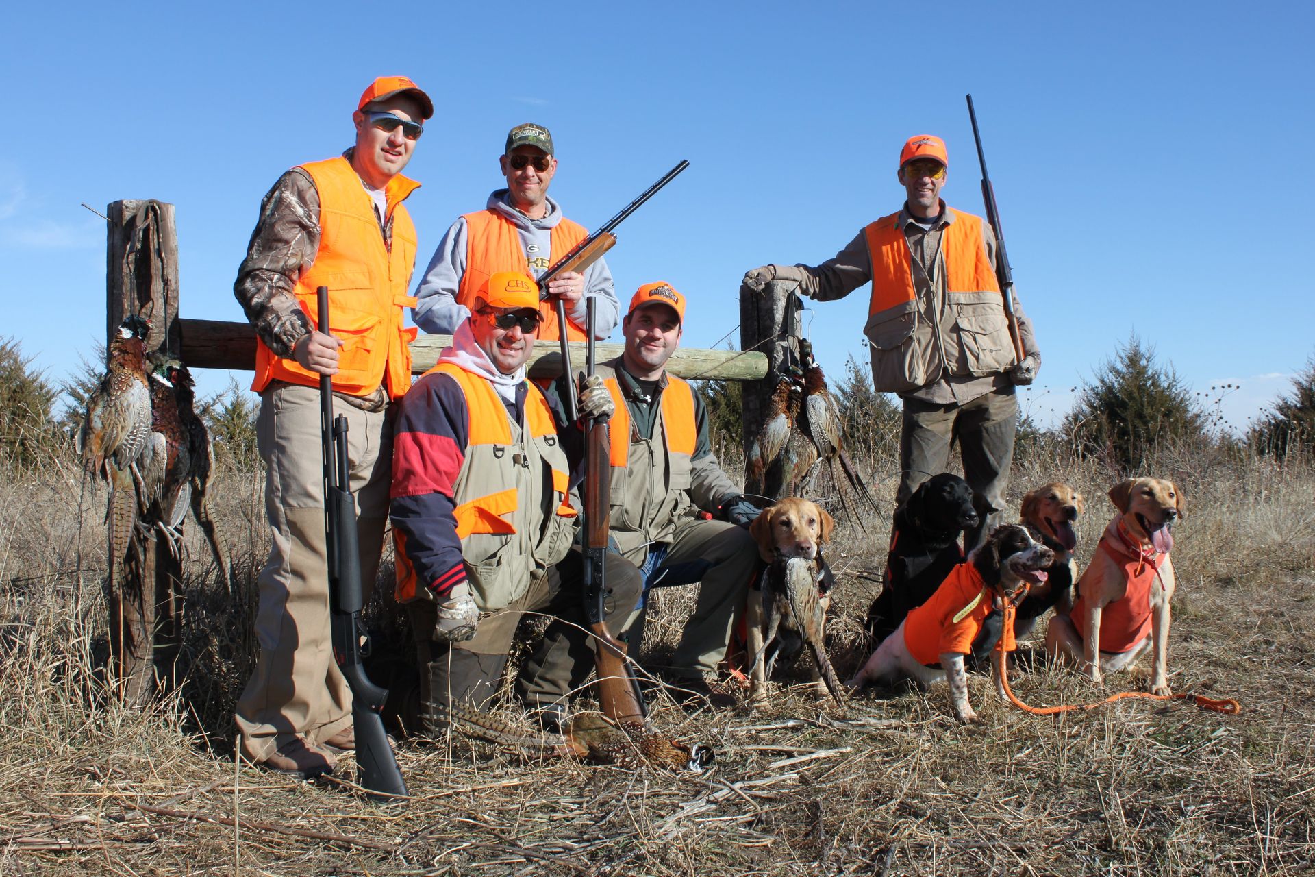 South Dakota Pheasant Hunt Photo Gallery Mitchell, SD